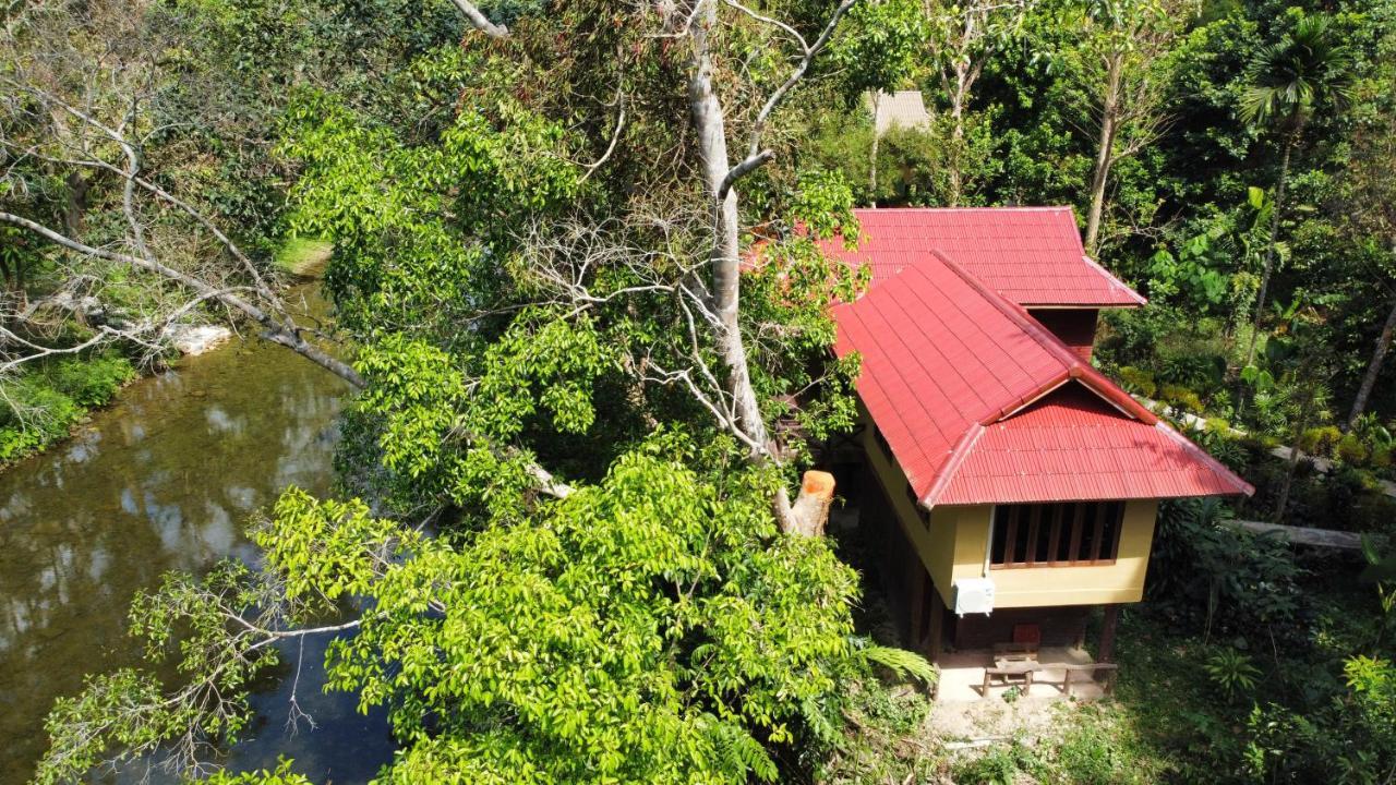 艺术河景山林小屋度假酒店 Khao Sok National Park 外观 照片