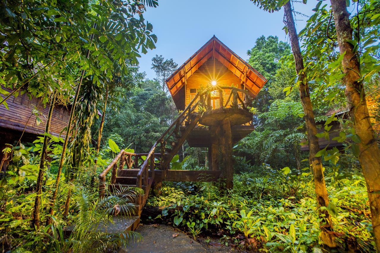 艺术河景山林小屋度假酒店 Khao Sok National Park 外观 照片