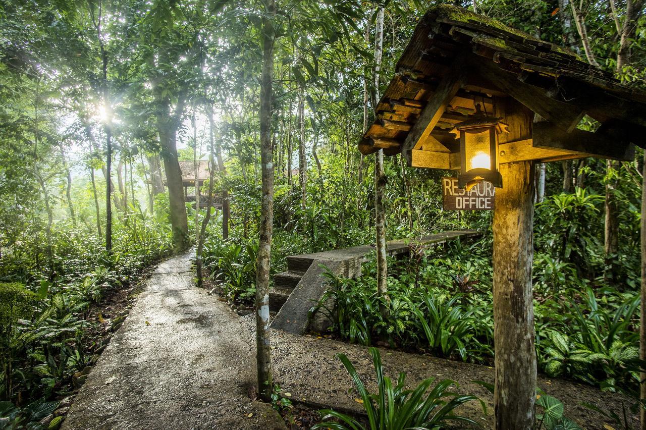 艺术河景山林小屋度假酒店 Khao Sok National Park 外观 照片