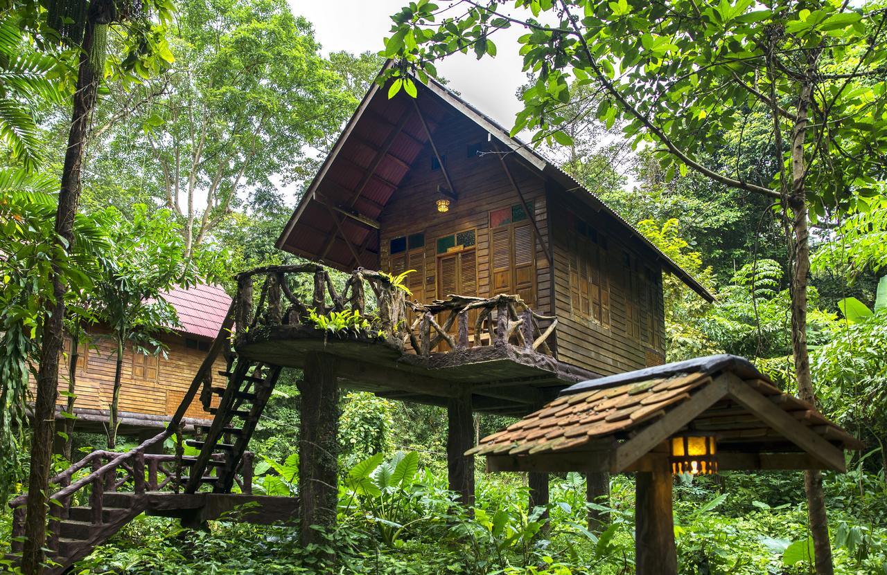 艺术河景山林小屋度假酒店 Khao Sok National Park 外观 照片
