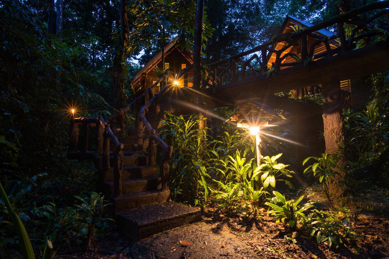 艺术河景山林小屋度假酒店 Khao Sok National Park 外观 照片