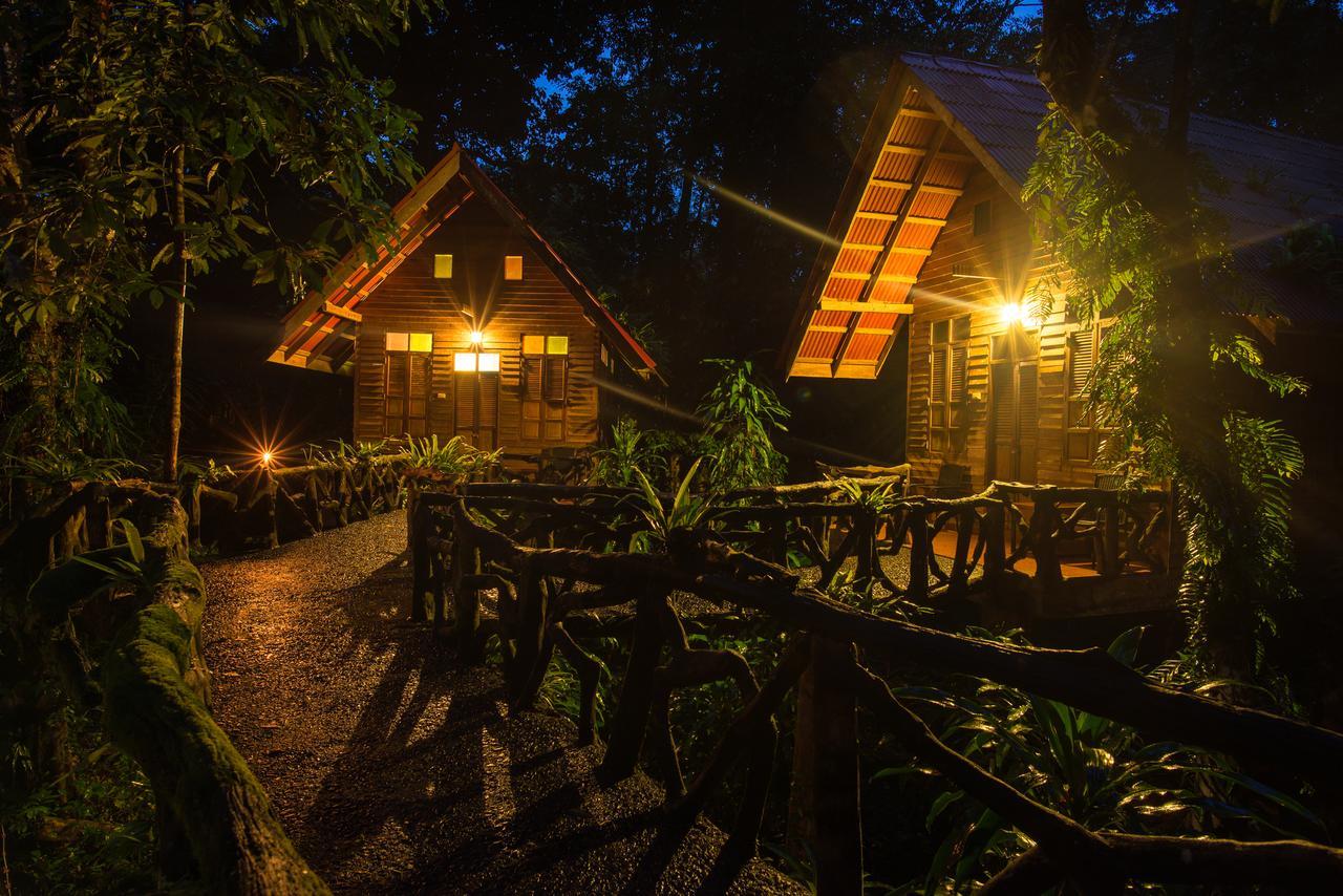 艺术河景山林小屋度假酒店 Khao Sok National Park 外观 照片